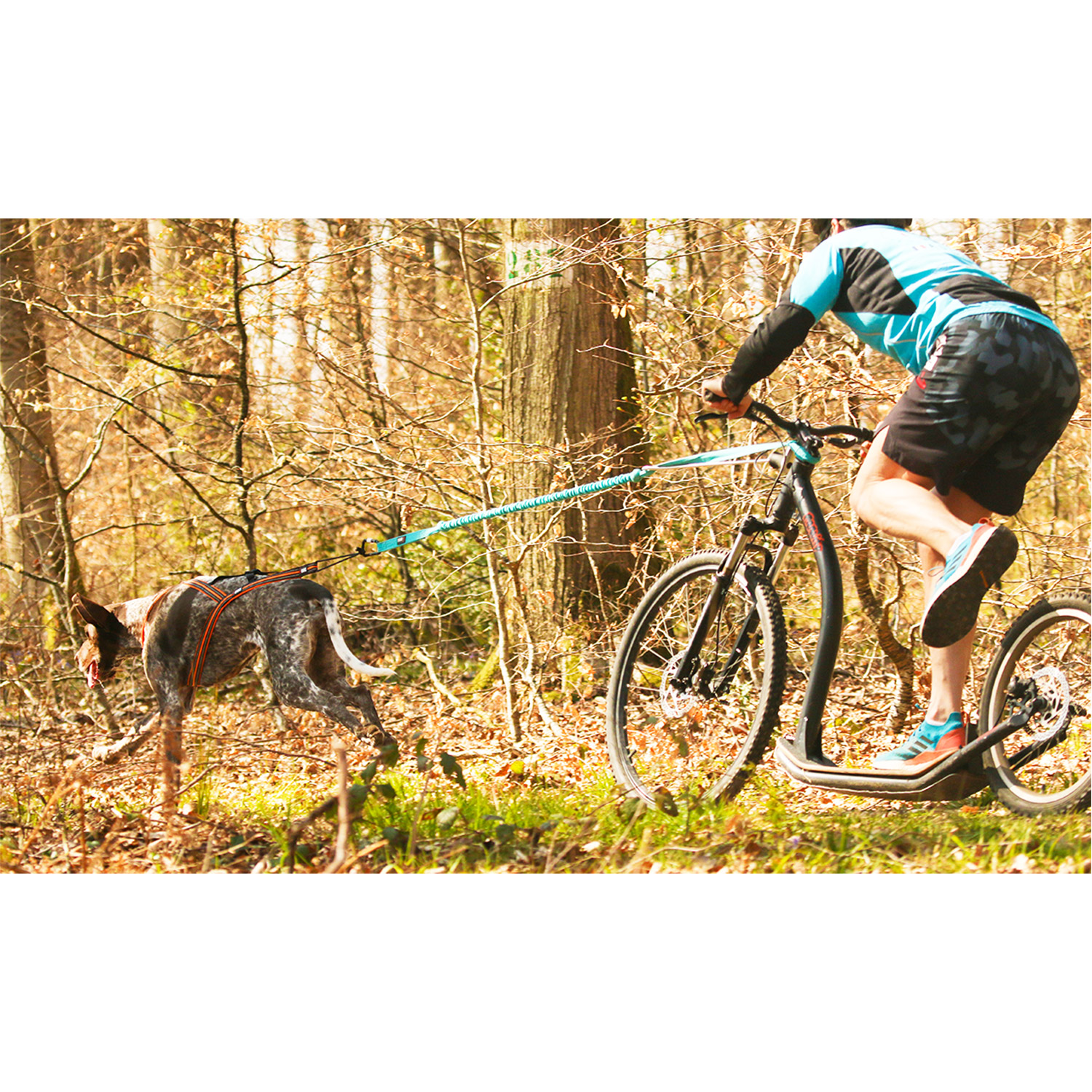 Barre de traction CANI TRACT pour vtt et sport canin avec votre