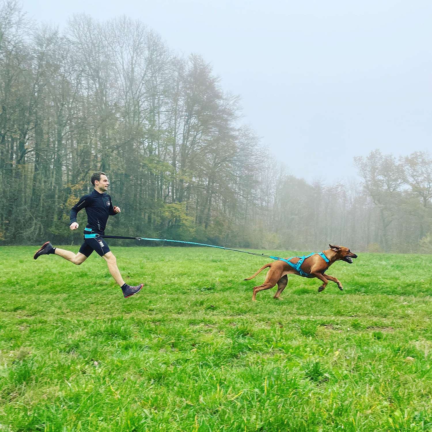 I-Dog Short Running Sprint Femme - Idog