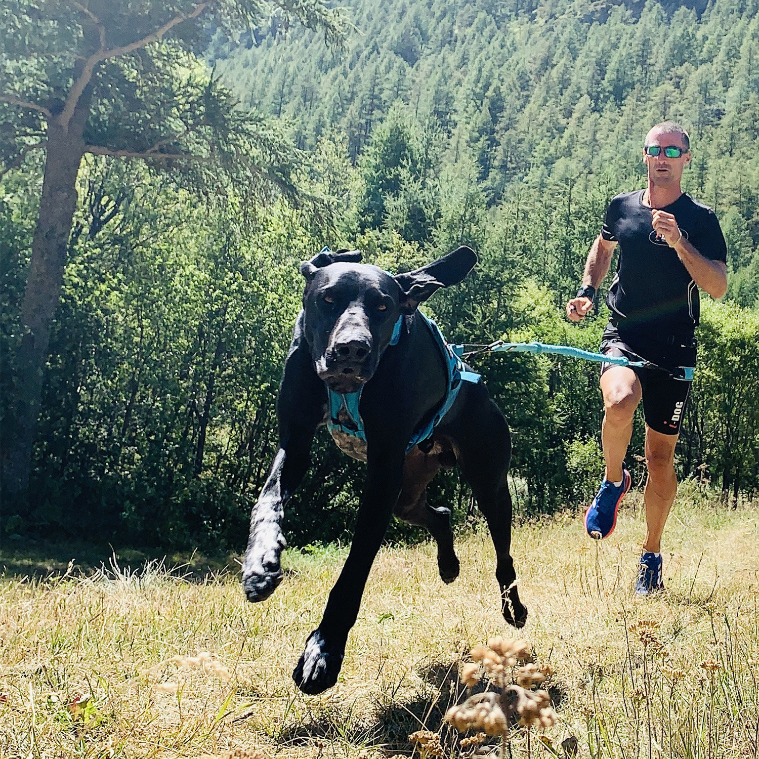 I-Dog Pantalon Running Sprint Homme - Idog