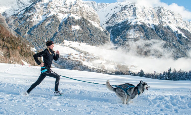 Les chiens nordiques ont toutes les qualités pour êtres votre compagnon dans la pratique de votre sport stracté.
