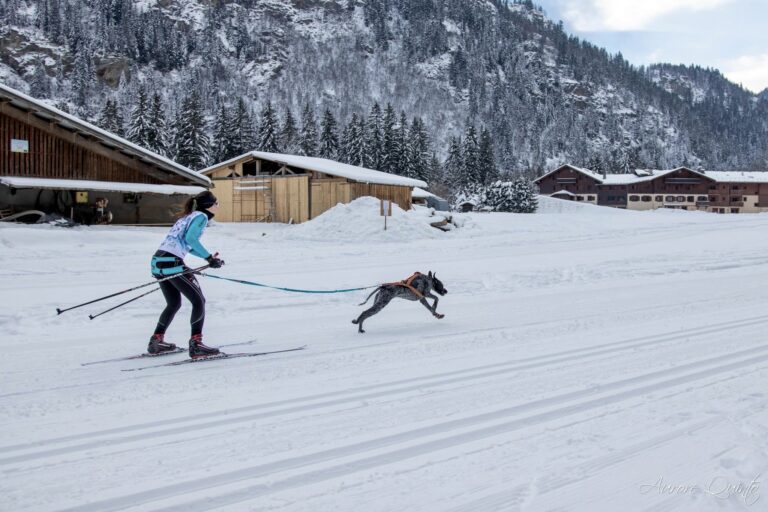 les sports tractés en hiver