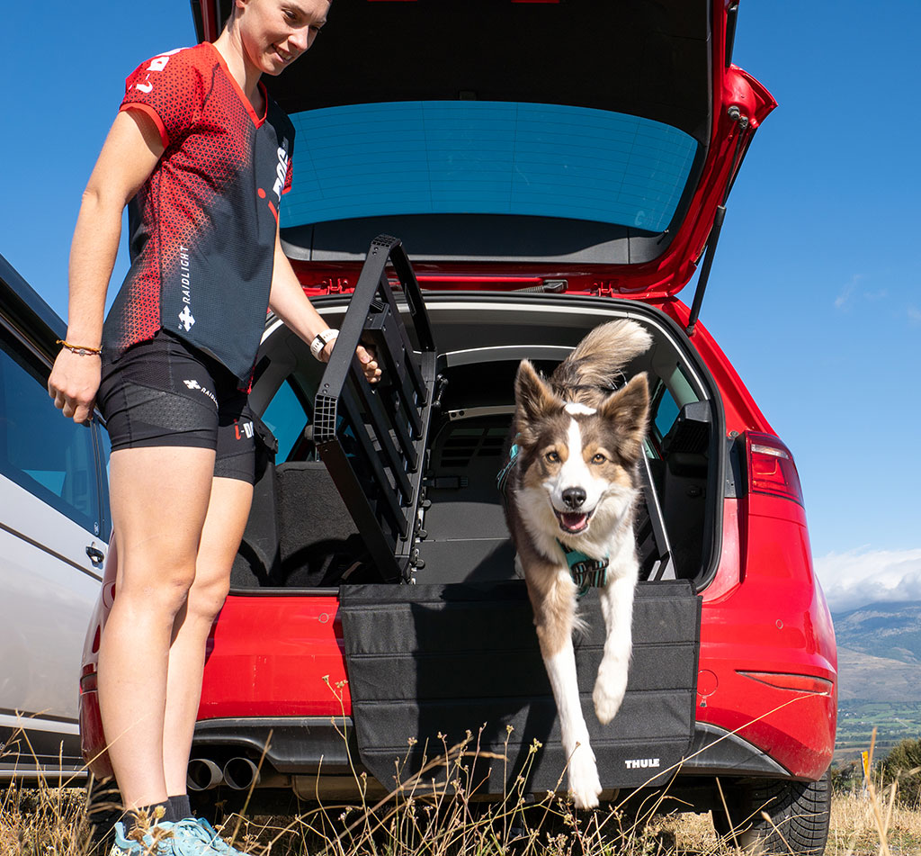 Gamme Thule équipements de transport pour chiens