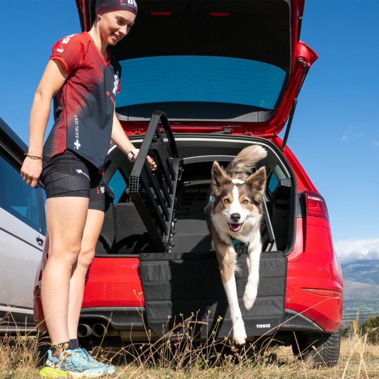 Caisse de transport pour chien Thule Allax