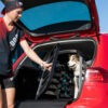 Caisse de transport pour chien Thule Allax