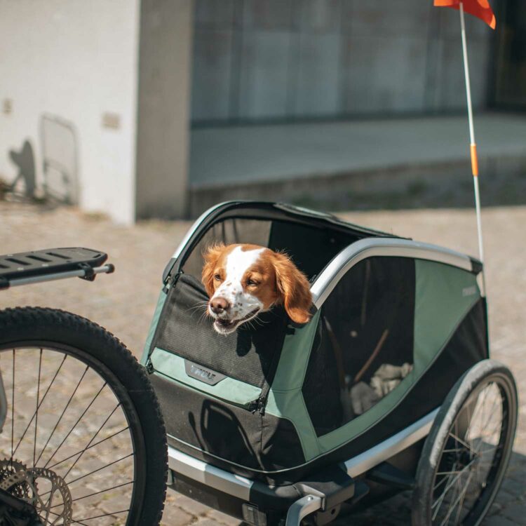 Remorque pour vélo Thule Bexey