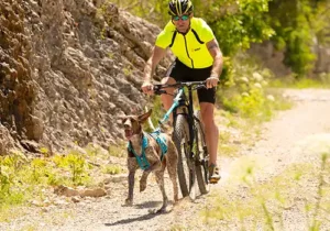 Bikejoring, caniVTT