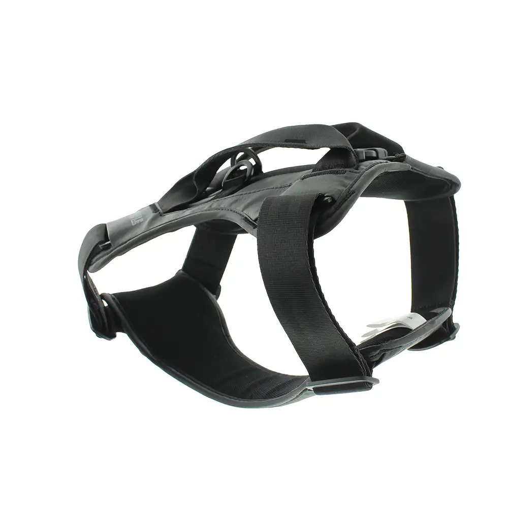 THULE CAPPY36