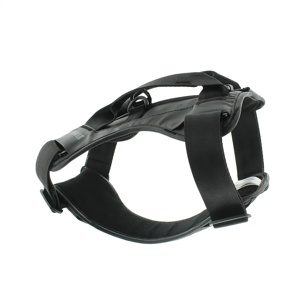 THULE CAPPY38